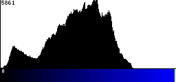 Blue Histogram