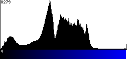 Blue Histogram