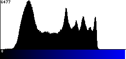 Blue Histogram