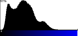 Blue Histogram