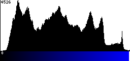 Blue Histogram