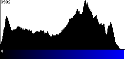 Blue Histogram