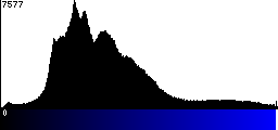 Blue Histogram