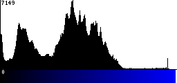 Blue Histogram