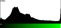 Green Histogram