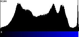 Blue Histogram