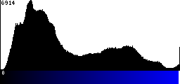 Blue Histogram