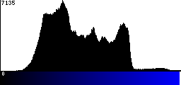 Blue Histogram