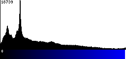 Blue Histogram