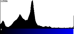 Blue Histogram