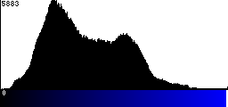 Blue Histogram