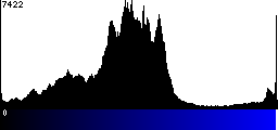 Blue Histogram