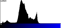Blue Histogram