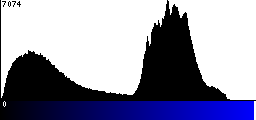 Blue Histogram