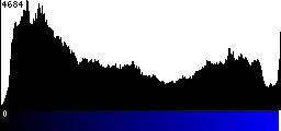 Blue Histogram