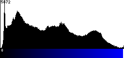 Blue Histogram