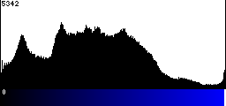 Blue Histogram