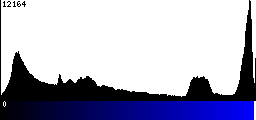 Blue Histogram