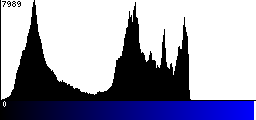 Blue Histogram