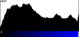 Blue Histogram
