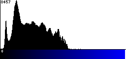 Blue Histogram
