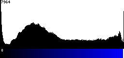 Blue Histogram