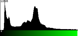 Green Histogram
