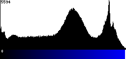 Blue Histogram