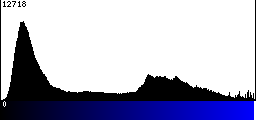 Blue Histogram