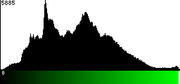 Green Histogram