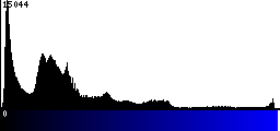 Blue Histogram