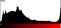 Red Histogram
