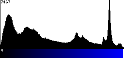 Blue Histogram