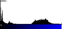 Blue Histogram