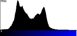 Blue Histogram