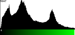 Green Histogram