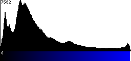 Blue Histogram