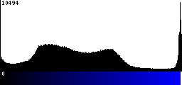 Blue Histogram