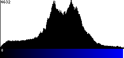Blue Histogram