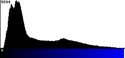 Blue Histogram