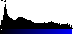 Blue Histogram