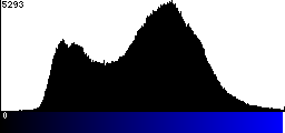 Blue Histogram