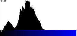 Blue Histogram