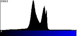 Blue Histogram