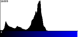 Blue Histogram