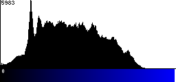 Blue Histogram