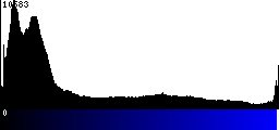 Blue Histogram