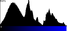 Blue Histogram