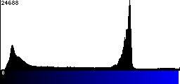 Blue Histogram