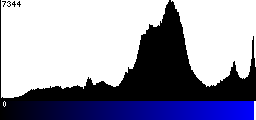 Blue Histogram
